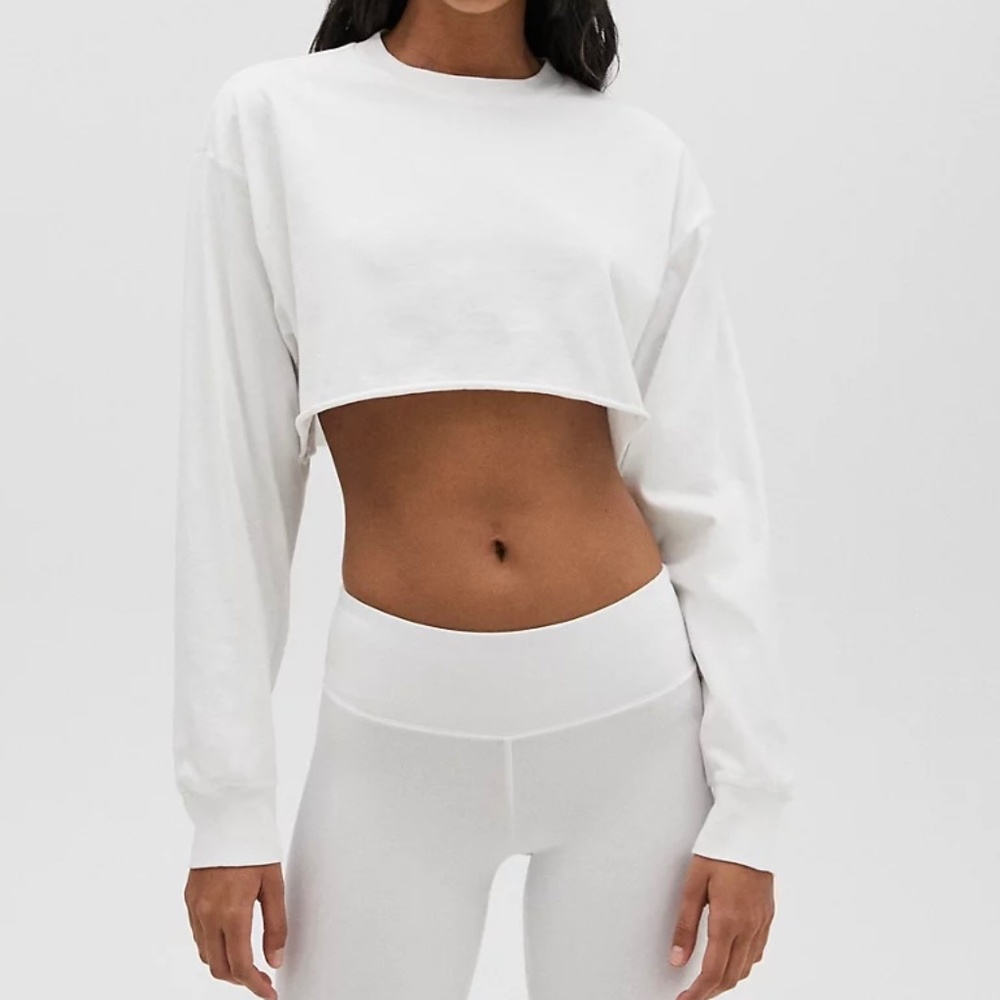Aritzia Tna Tour Cropped Longsleeve